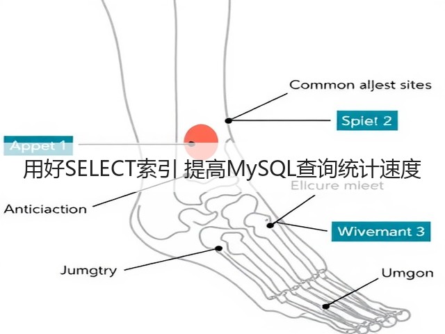 用好SELECT索引 提高MySQL查询统计速度(图3) 用好SELECT索引 提高MySQL查询统计速度(图3)