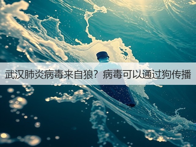 武汉肺炎病毒来自狼?病毒可以通过狗传播(图3) 武汉肺炎病毒来自狼?病毒可以通过狗传播(图3)