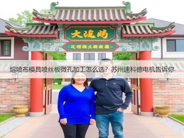 熔喷布模具喷丝板微孔加工怎么选？苏州速科德电机告诉你(图3)