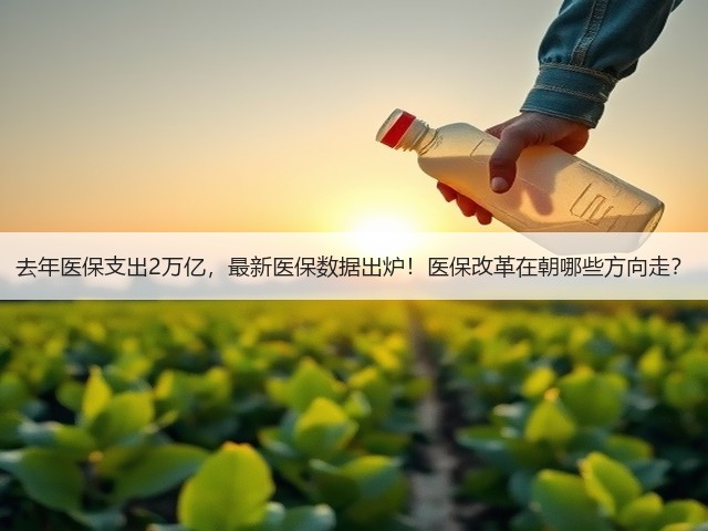 去年医保支出2万亿,最新医保数据出炉!医保改革在朝哪些方向走?(图2) 去年医保支出2万亿,最新医保数据出炉!医保改革在朝哪些方向走?(图2)