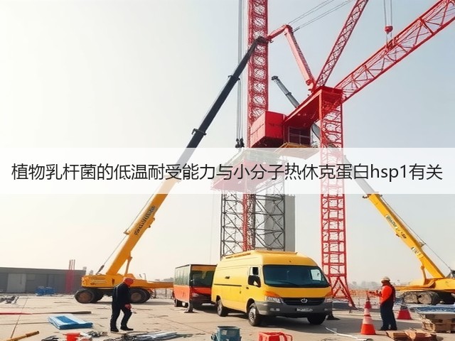 植物乳杆菌的低温耐受能力与小分子热休克蛋白hsp1有关(图3) 植物乳杆菌的低温耐受能力与小分子热休克蛋白hsp1有关(图3)