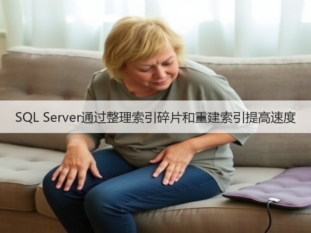 SQL Server通过整理索引碎片和重建索引提高速度(图2) SQL Server通过整理索引碎片和重建索引提高速度(图2)