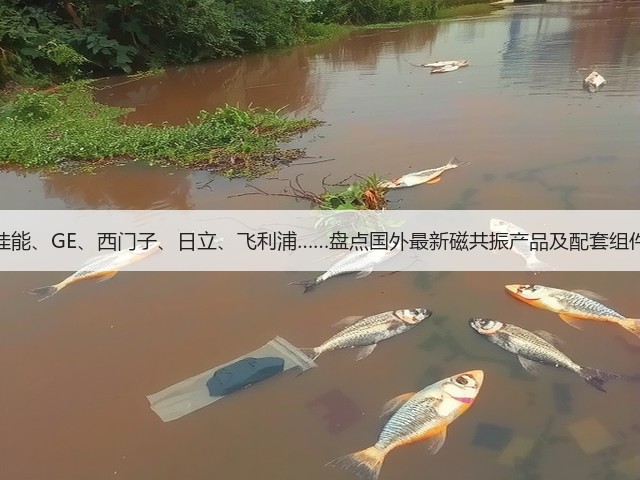 佳能、GE、西门子、日立、飞利浦……盘点国外最新磁共振产品及配套组件(图3) 佳能、GE、西门子、日立、飞利浦……盘点国外最新磁共振产品及配套组件(图3)