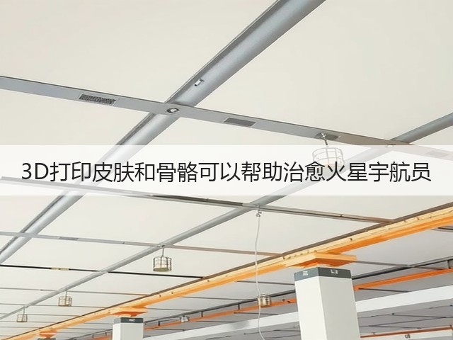 3D打印皮肤和骨骼可以帮助治愈火星宇航员(图2)