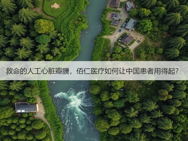 救命的人工心脏瓣膜,佰仁医疗如何让中国患者用得起?(图1) 救命的人工心脏瓣膜,佰仁医疗如何让中国患者用得起?(图1)