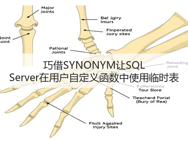 巧借SYNONYM让SQL Server在用户自定义函数中使用临时表(图3) 巧借SYNONYM让SQL Server在用户自定义函数中使用临时表(图3)