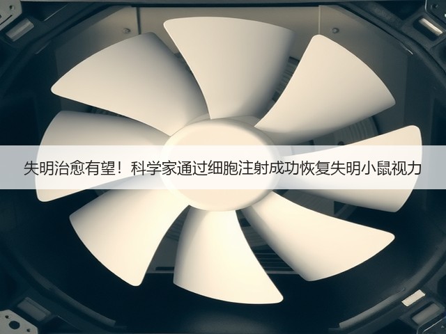 失明治愈有望!科学家通过细胞注射成功恢复失明小鼠视力(图1) 失明治愈有望!科学家通过细胞注射成功恢复失明小鼠视力(图1)