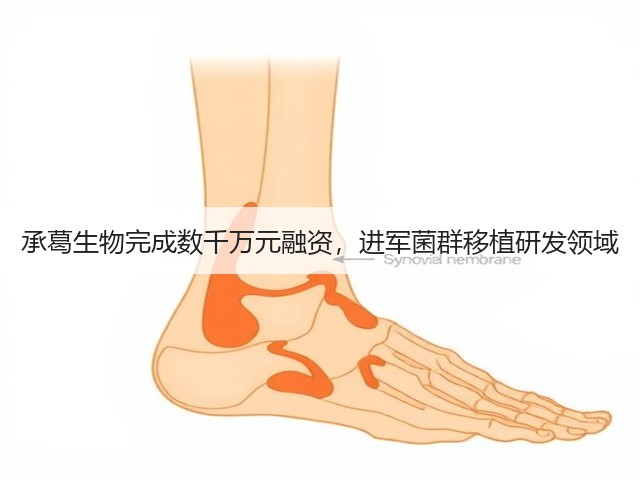 承葛生物完成数千万元融资,进军菌群移植研发领域(图2) 承葛生物完成数千万元融资,进军菌群移植研发领域(图2)