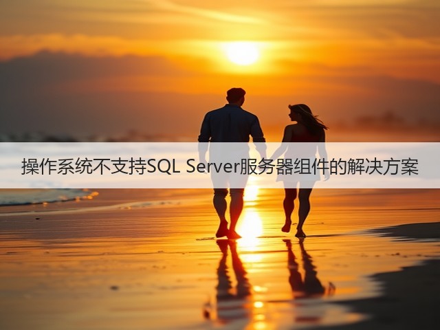 操作系统不支持SQL Server服务器组件的解决方案(图3) 操作系统不支持SQL Server服务器组件的解决方案(图3)