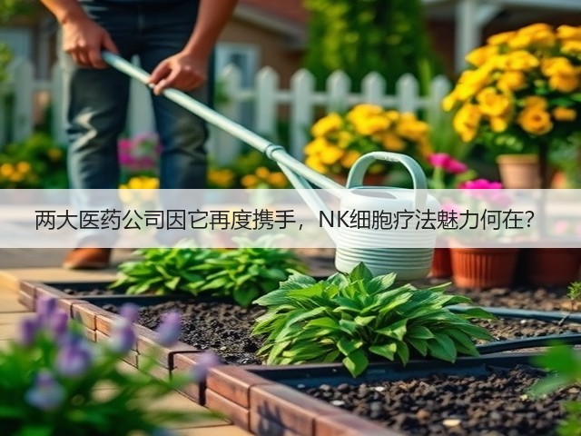 两大医药公司因它再度携手,NK细胞疗法魅力何在?(图2) 两大医药公司因它再度携手,NK细胞疗法魅力何在?(图2)