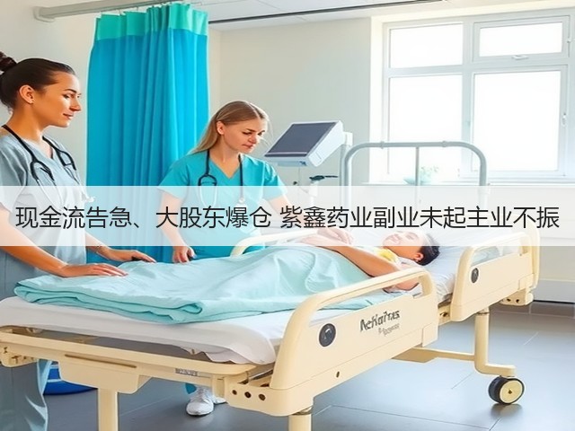 现金流告急、大股东爆仓 紫鑫药业副业未起主业不振(图2)