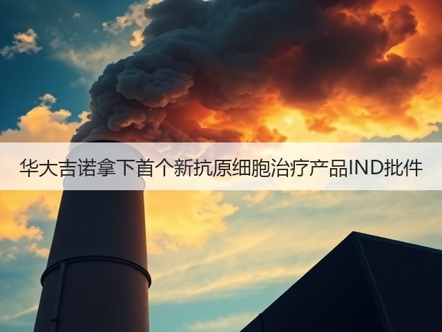 华大吉诺拿下首个新抗原细胞治疗产品IND批件(图3) 华大吉诺拿下首个新抗原细胞治疗产品IND批件(图3)