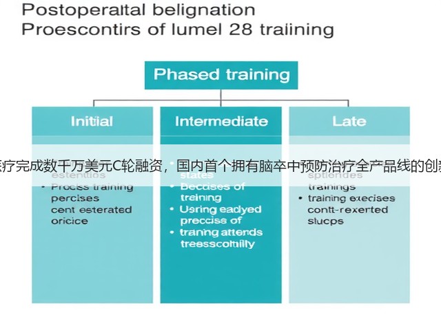 心玮医疗完成数千万美元C轮融资，国内首个拥有脑卒中预防治疗全产品线的创新企业(图3)