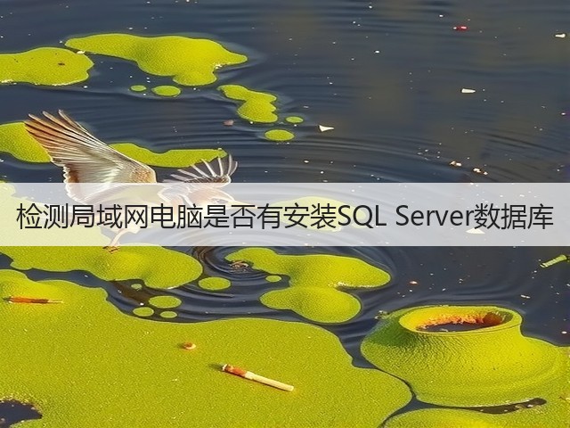 检测局域网电脑是否有安装SQL Server数据库(图2)