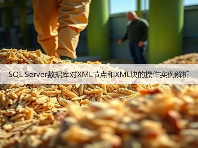 SQL Server数据库对XML节点和XML块的操作实例解析(图3) SQL Server数据库对XML节点和XML块的操作实例解析(图3)