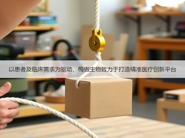 以患者及临床需求为驱动,梅傲生物致力于打造精准医疗创新平台(图3) 以患者及临床需求为驱动,梅傲生物致力于打造精准医疗创新平台(图3)