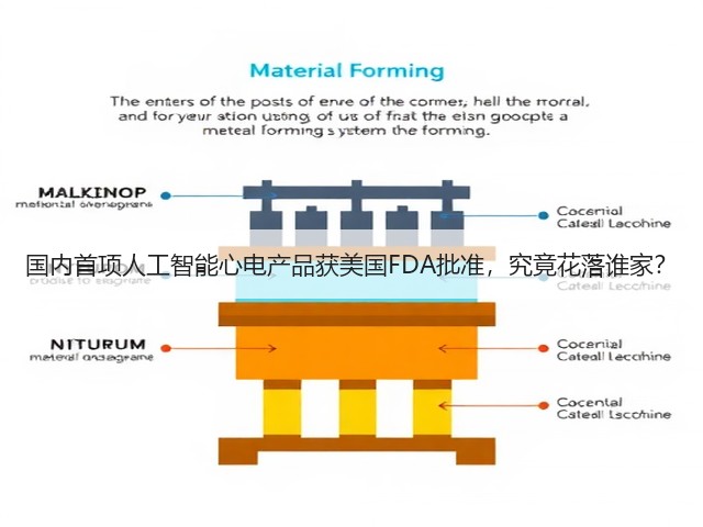 国内首项人工智能心电产品获美国FDA批准,究竟花落谁家?(图3) 国内首项人工智能心电产品获美国FDA批准,究竟花落谁家?(图3)