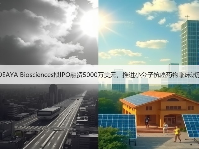 IDEAYA Biosciences拟IPO融资5000万美元，推进小分子抗癌药物临床试验(图1)