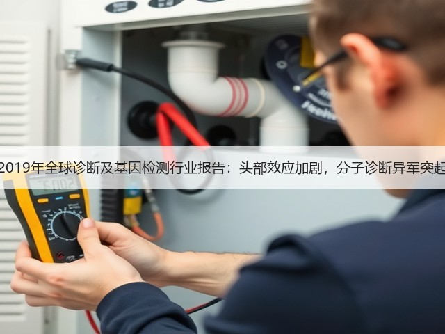 2019年全球诊断及基因检测行业报告:头部效应加剧,分子诊断异军突起(图2) 2019年全球诊断及基因检测行业报告:头部效应加剧,分子诊断异军突起(图2)