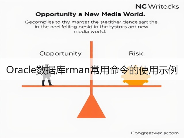 Oracle数据库rman常用命令的使用示例(图3) Oracle数据库rman常用命令的使用示例(图3)