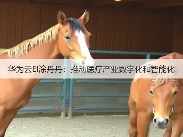 华为云EI涂丹丹:推动医疗产业数字化和智能化(图1) 华为云EI涂丹丹:推动医疗产业数字化和智能化(图1)
