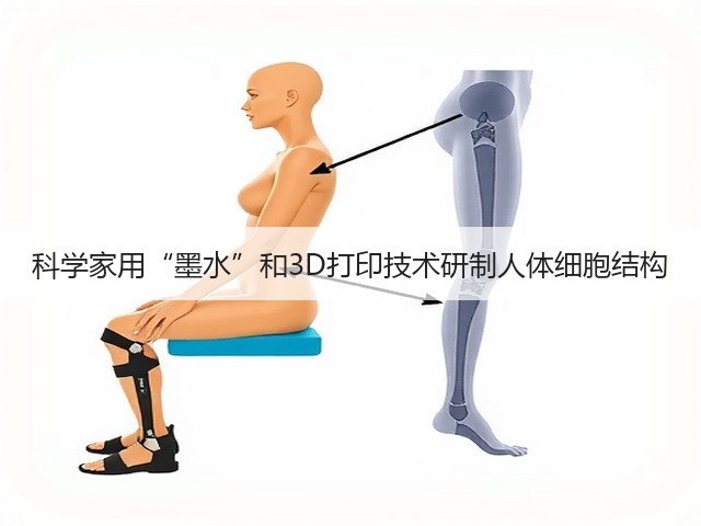 科学家用“墨水”和3D打印技术研制人体细胞结构(图1)