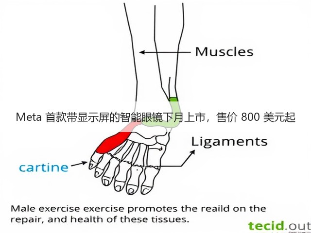 Meta 首款带显示屏的智能眼镜下月上市,售价 800 美元起(图1) Meta 首款带显示屏的智能眼镜下月上市,售价 800 美元起(图1)