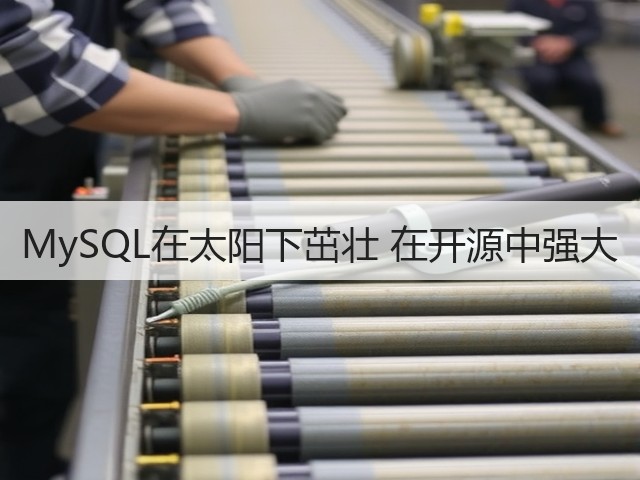 MySQL在太阳下茁壮 在开源中强大(图3) MySQL在太阳下茁壮 在开源中强大(图3)