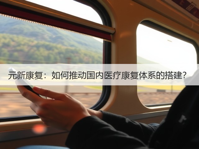 元新康复：如何推动国内医疗康复体系的搭建？(图3)