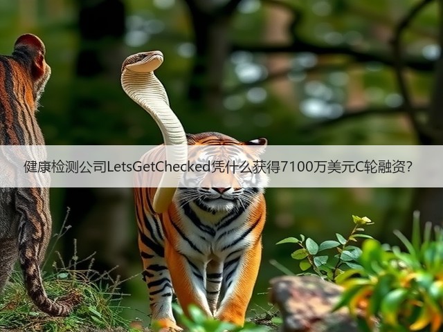 健康检测公司LetsGetChecked凭什么获得7100万美元C轮融资?(图1) 健康检测公司LetsGetChecked凭什么获得7100万美元C轮融资?(图1)