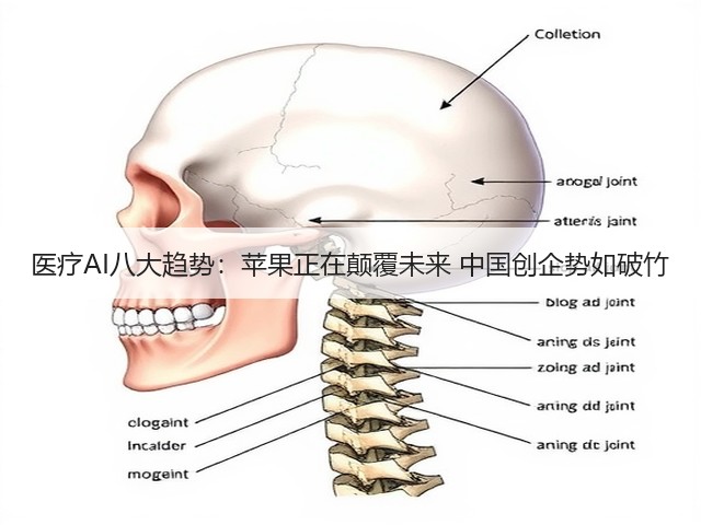 医疗AI八大趋势:苹果正在颠覆未来 中国创企势如破竹(图2) 医疗AI八大趋势:苹果正在颠覆未来 中国创企势如破竹(图2)