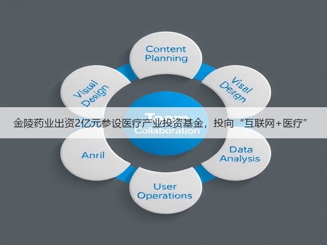 金陵药业出资2亿元参设医疗产业投资基金,投向“互联网+医疗”(图3) 金陵药业出资2亿元参设医疗产业投资基金,投向“互联网+医疗”(图3)