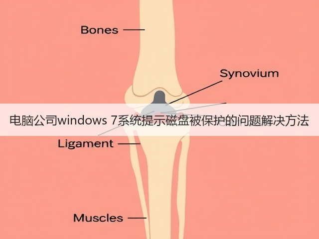 电脑公司windows 7系统提示磁盘被保护的问题解决方法(图3) 电脑公司windows 7系统提示磁盘被保护的问题解决方法(图3)