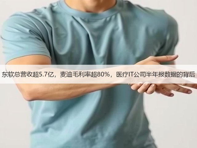 东软总营收超5.7亿,麦迪毛利率超80%,医疗IT公司半年报数据的背后(图3) 东软总营收超5.7亿,麦迪毛利率超80%,医疗IT公司半年报数据的背后(图3)