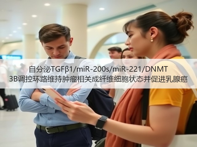 自分泌TGFβ1/miR-200s/miR-221/DNMT 3B调控环路维持肿瘤相关成纤维细胞状态并促进乳腺癌(图3) 自分泌TGFβ1/miR-200s/miR-221/DNMT 3B调控环路维持肿瘤相关成纤维细胞状态并促进乳腺癌(图3)