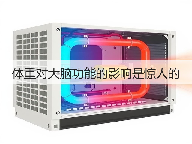 体重对大脑功能的影响是惊人的(图3)