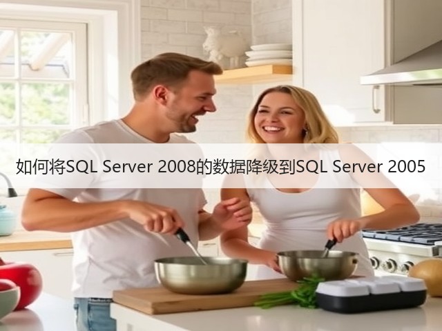 如何将SQL Server 2008的数据降级到SQL Server 2005(图2)