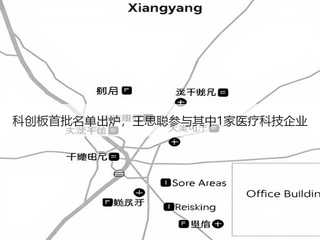 科创板首批名单出炉，王思聪参与其中1家医疗科技企业(图3)