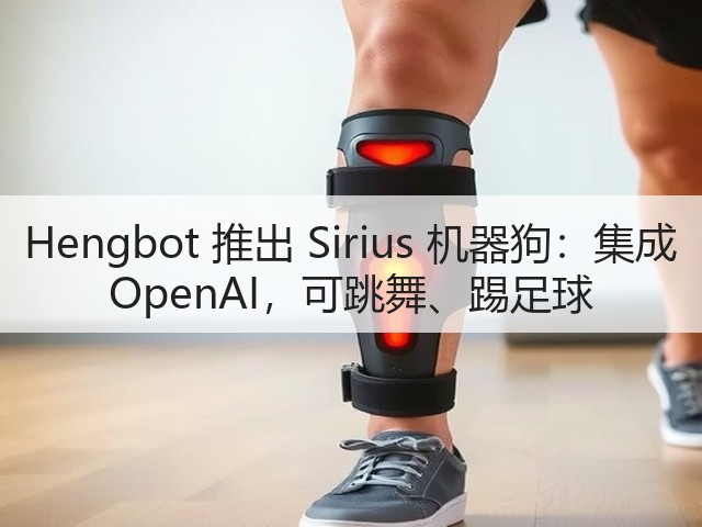 Hengbot 推出 Sirius 机器狗:集成 OpenAI,可跳舞、踢足球(图3) Hengbot 推出 Sirius 机器狗:集成 OpenAI,可跳舞、踢足球(图3)