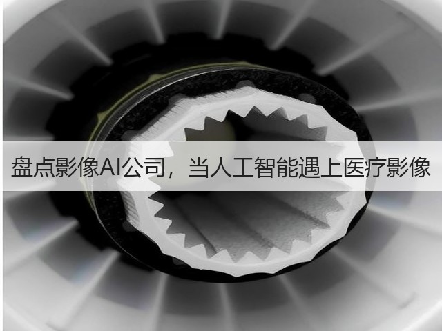 盘点影像AI公司,当人工智能遇上医疗影像(图3) 盘点影像AI公司,当人工智能遇上医疗影像(图3)