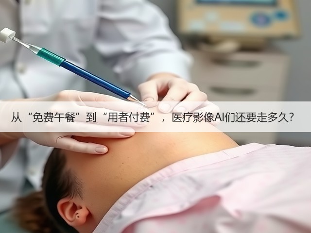 从“免费午餐”到“用者付费”,医疗影像AI们还要走多久?(图2) 从“免费午餐”到“用者付费”,医疗影像AI们还要走多久?(图2)