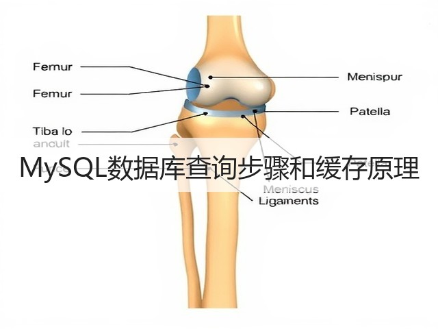 MySQL数据库查询步骤和缓存原理(图1)
