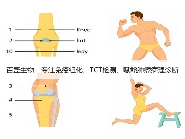 百盛生物:专注免疫组化、TCT检测,赋能肿瘤病理诊断(图3) 百盛生物:专注免疫组化、TCT检测,赋能肿瘤病理诊断(图3)