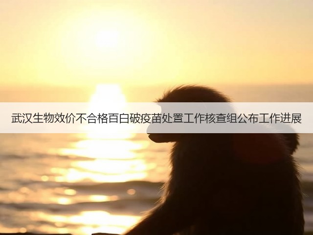 武汉生物效价不合格百白破疫苗处置工作核查组公布工作进展(图1) 武汉生物效价不合格百白破疫苗处置工作核查组公布工作进展(图1)