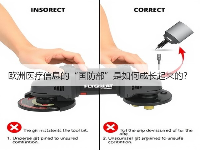欧洲医疗信息的“国防部”是如何成长起来的?(图2) 欧洲医疗信息的“国防部”是如何成长起来的?(图2)