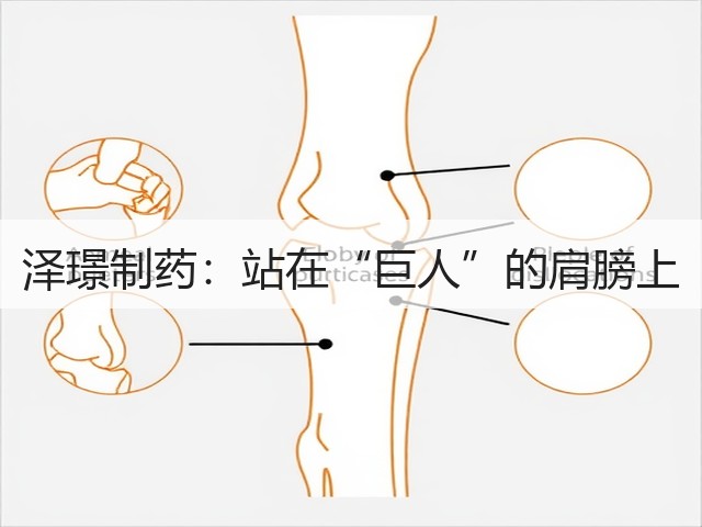 泽璟制药:站在“巨人”的肩膀上(图2) 泽璟制药:站在“巨人”的肩膀上(图2)