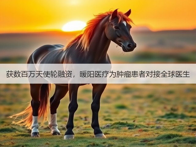 获数百万天使轮融资,暖阳医疗为肿瘤患者对接全球医生(图2) 获数百万天使轮融资,暖阳医疗为肿瘤患者对接全球医生(图2)