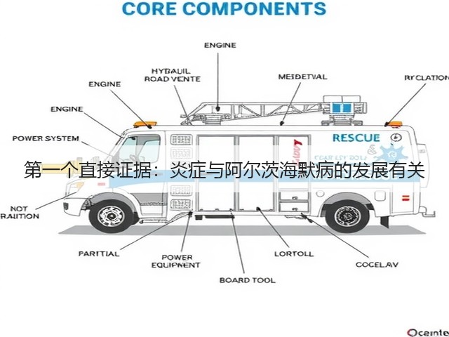第一个直接证据:炎症与阿尔茨海默病的发展有关(图3) 第一个直接证据:炎症与阿尔茨海默病的发展有关(图3)