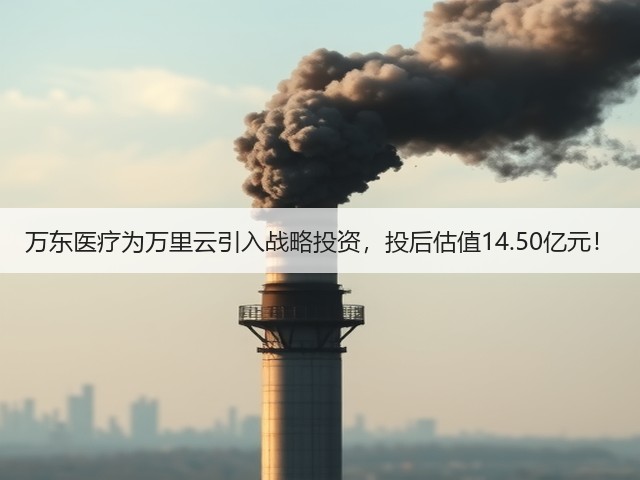 万东医疗为万里云引入战略投资,投后估值14.50亿元!(图3) 万东医疗为万里云引入战略投资,投后估值14.50亿元!(图3)